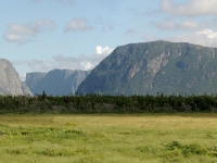 54764PaCrLeRe - Along Route 430 - Views of the Gulf of St Lawrence, Labrador and Gros Morne National Park (enroute from Quirpon to Deer Lake).jpg